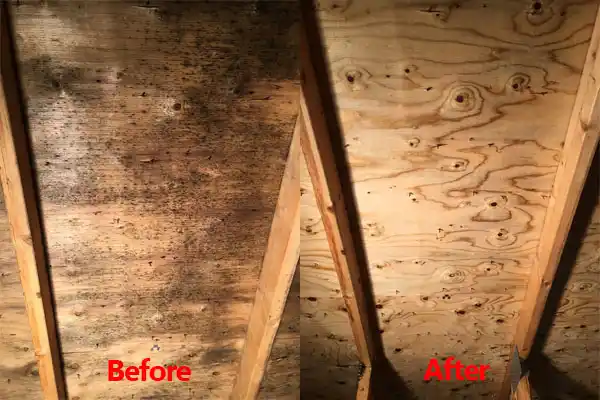 water damage restoration service Columbiaville